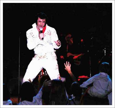 1212003_elvis1.jpg